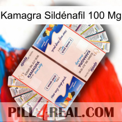 Kamagra Sildénafil 100 Mg kamagra1